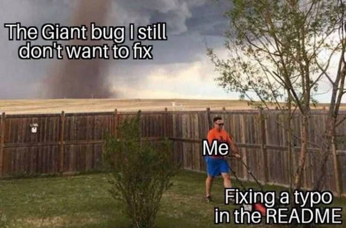 Bug Duty Meme